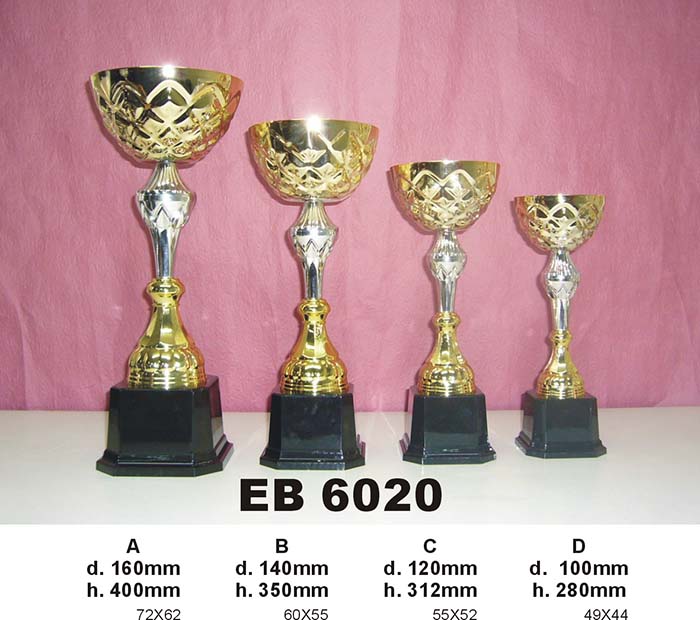 #6020