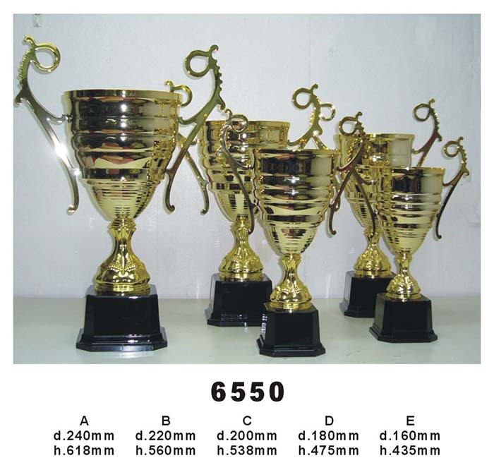 #6550
