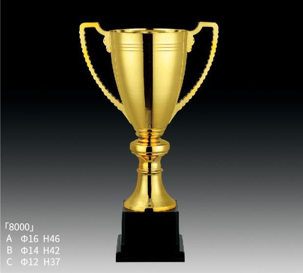 8000