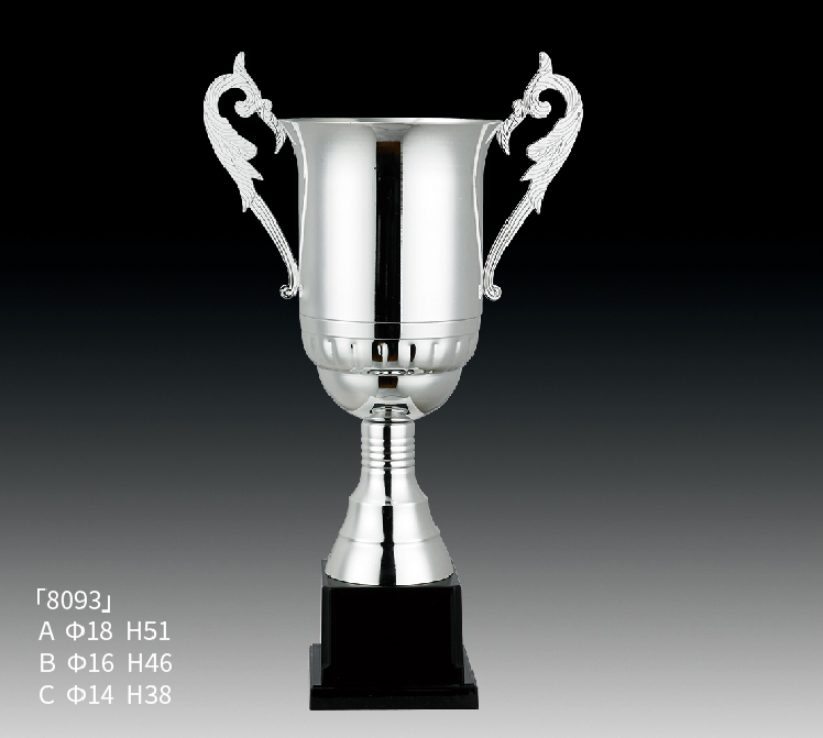 8093