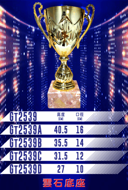 GT2539